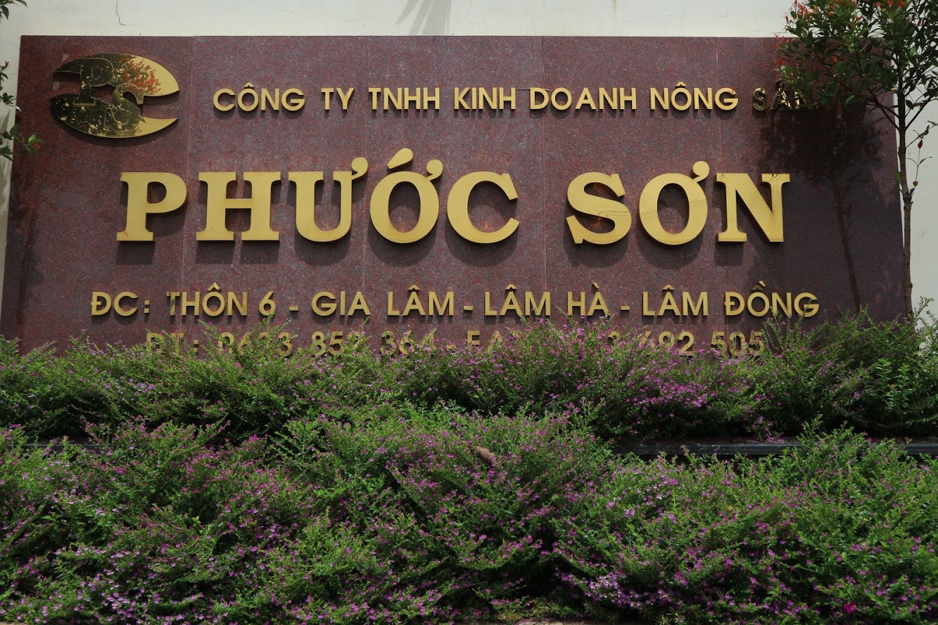 case-study-wind-lap-trinh-mini-app-phuoc-son.html
